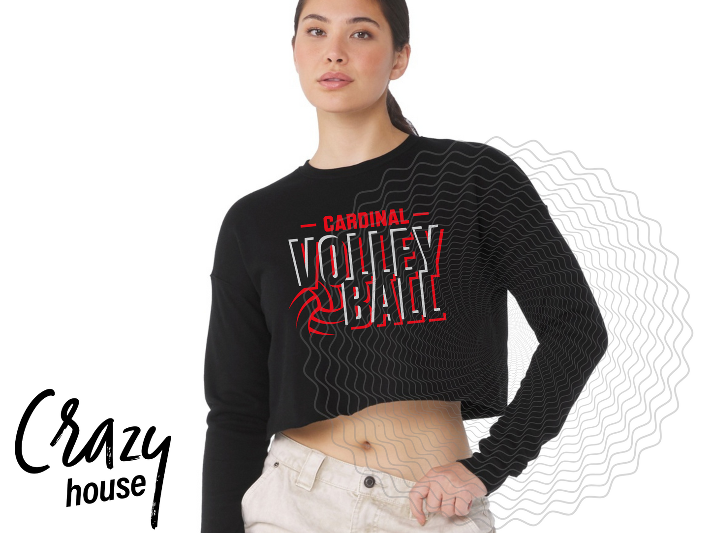 Cardinal Volleyball 2