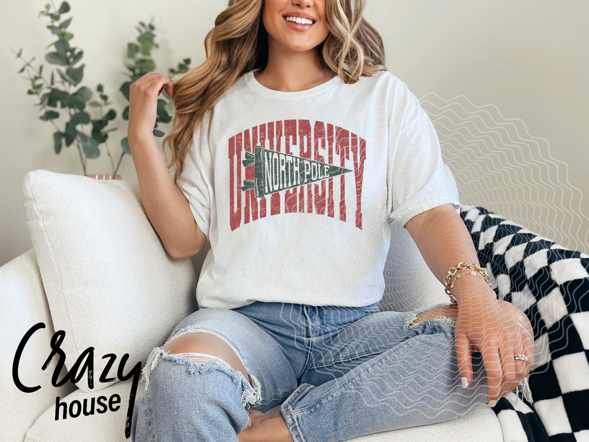 North Pole University