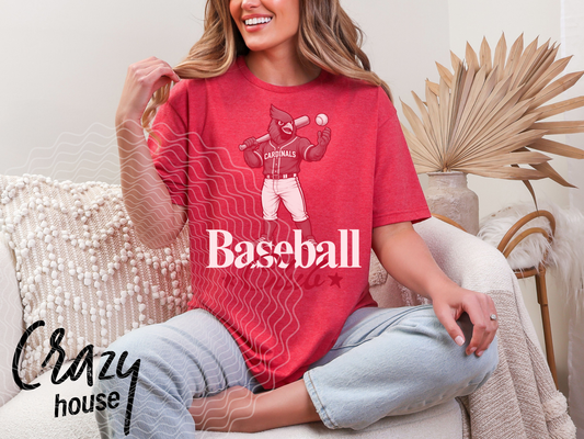 Canfield Cardinal Baseball