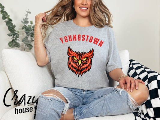 Youngstown Defenders Vintage