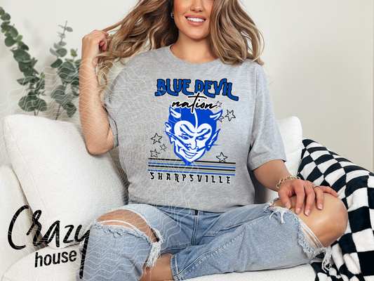 Vintage Blue Devils