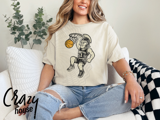 Spartan Vintage Basketball